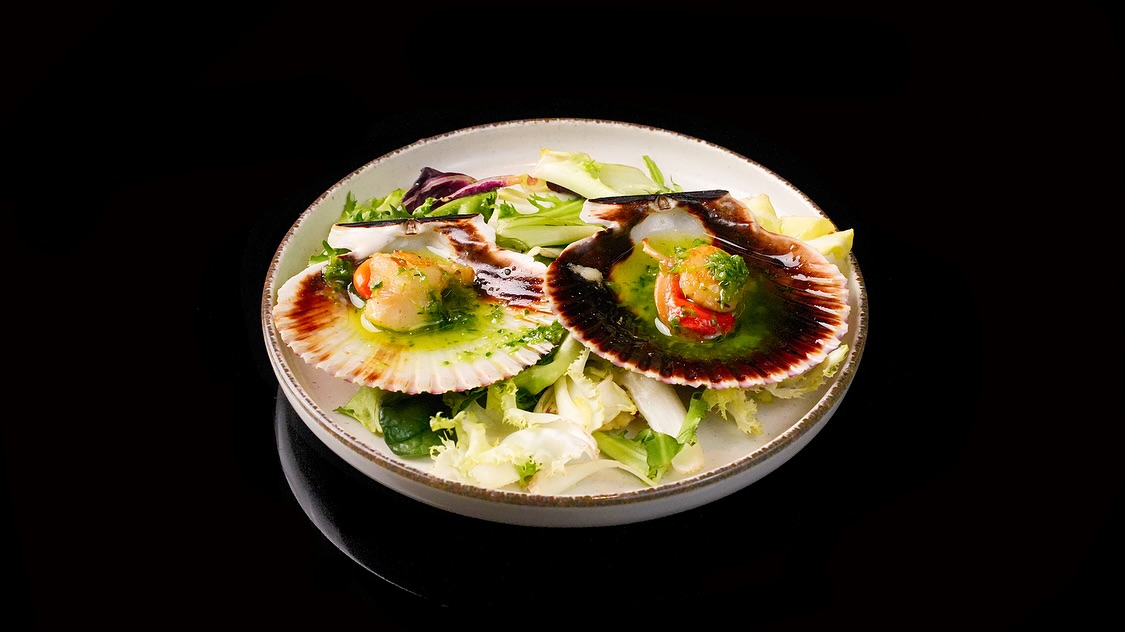 Plato 11
